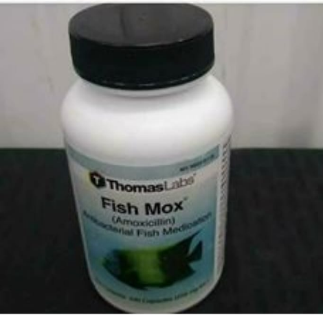 FISHMOX