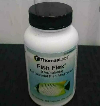 Fish Flex Cephalexin